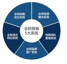 網絡營銷特性、營銷型網站與電子商務平臺開發運營的對比分析